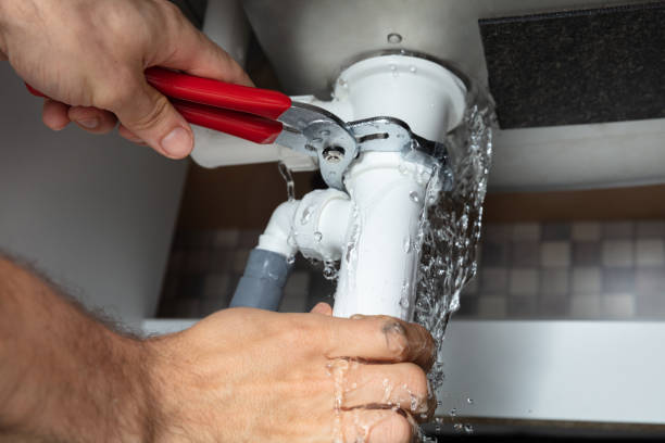 Best Carpet water damage restoration  in Naples Park, FL