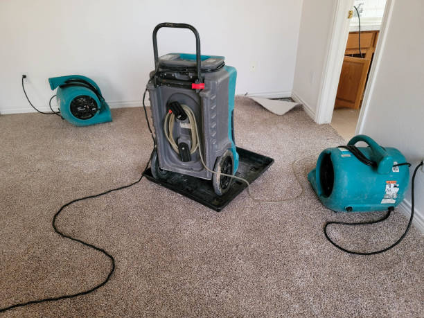 Best Basement water damage restoration  in Naples Park, FL