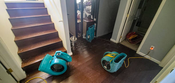 Best 24-hour water damage restoration  in Naples Park, FL