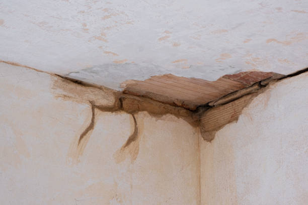 Best Sewage cleanup and water damage restoration  in Naples Park, FL