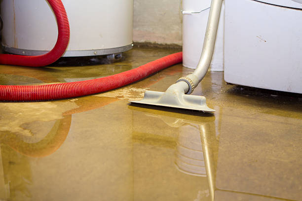 Best Water damage cleanup near me  in Naples Park, FL