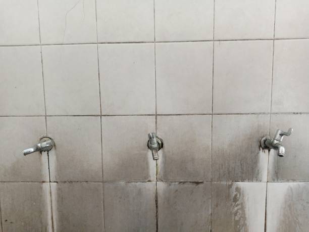  Naples Park, FL Water damage restoration Pros