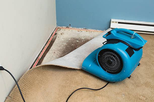 Best Water damage restoration company  in Naples Park, FL